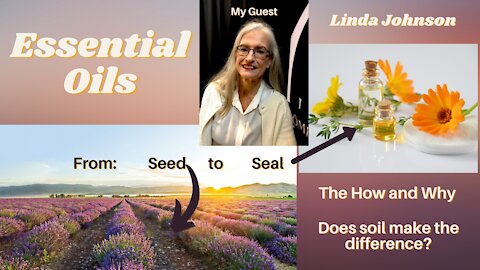 Essential Oils where they come from and why?