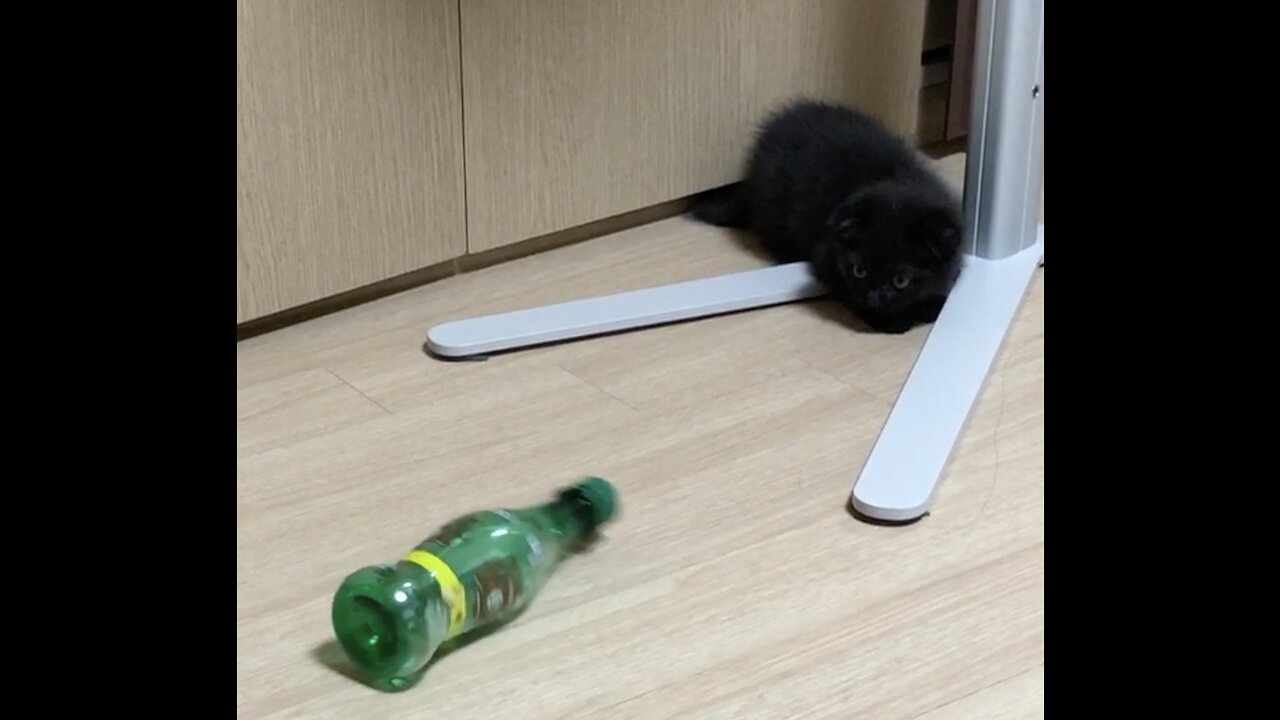 Let's play spin the bottle!!