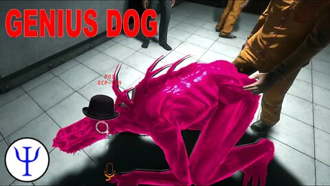 SCP:SL - Our Glorious Leader & Wild Challenge Round!