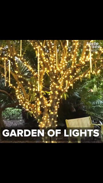 New 'Gardens Of Lights' event hits Mounts Botanical Garden