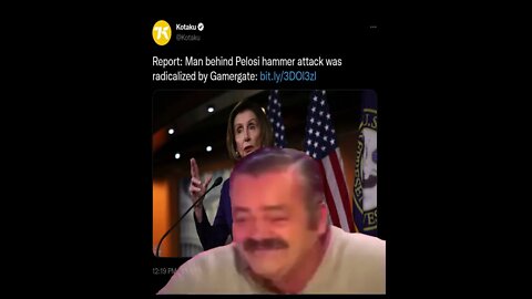 GamerGate blamed for Pelosi attack