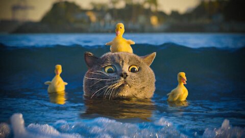 The Cat Who Saved the Duckling