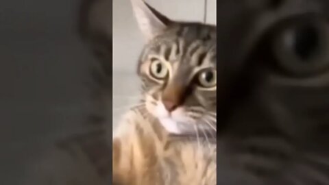 bro can u record properly 😄 🤣