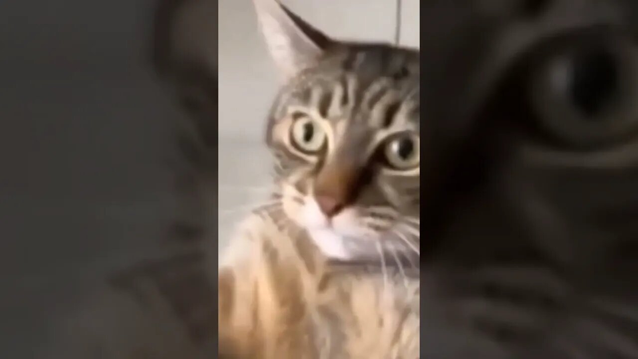 bro can u record properly 😄 🤣