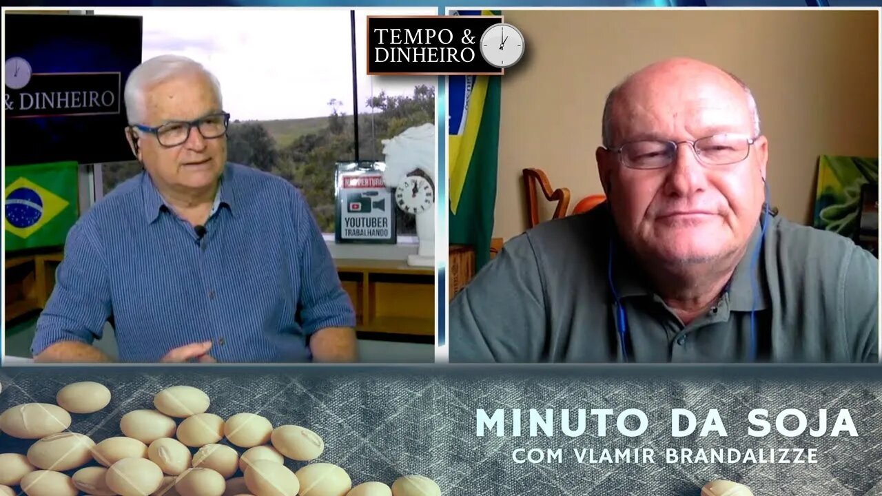 Soja com grande movimento de Safra Nova