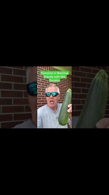 Zucchini Craze #bubba #zuchinni #Free