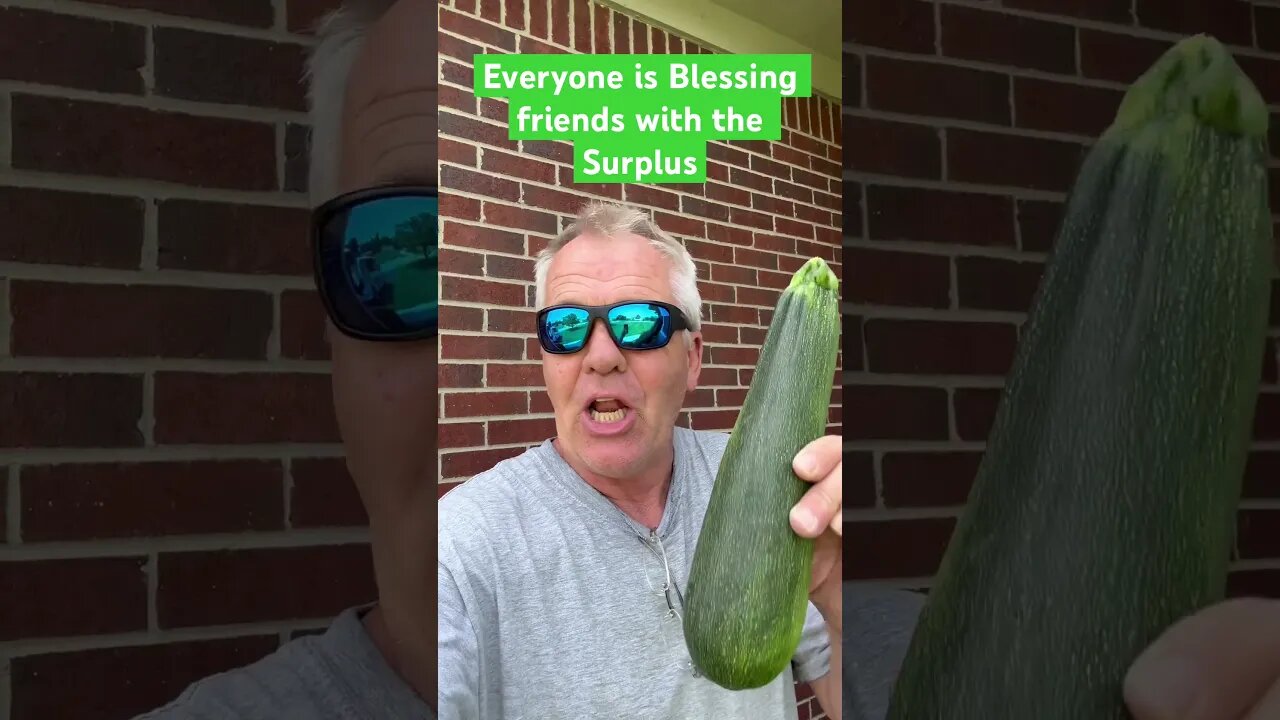 Zucchini Craze #bubba #zuchinni #Free