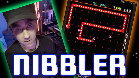 Can't Tell Where These Guys Are! | Classic Arcade Nibbler