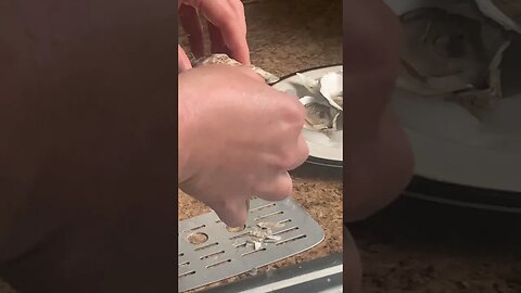 How to shuck a oyster