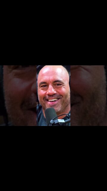 Joe Rogan On The Importance Of Freedom