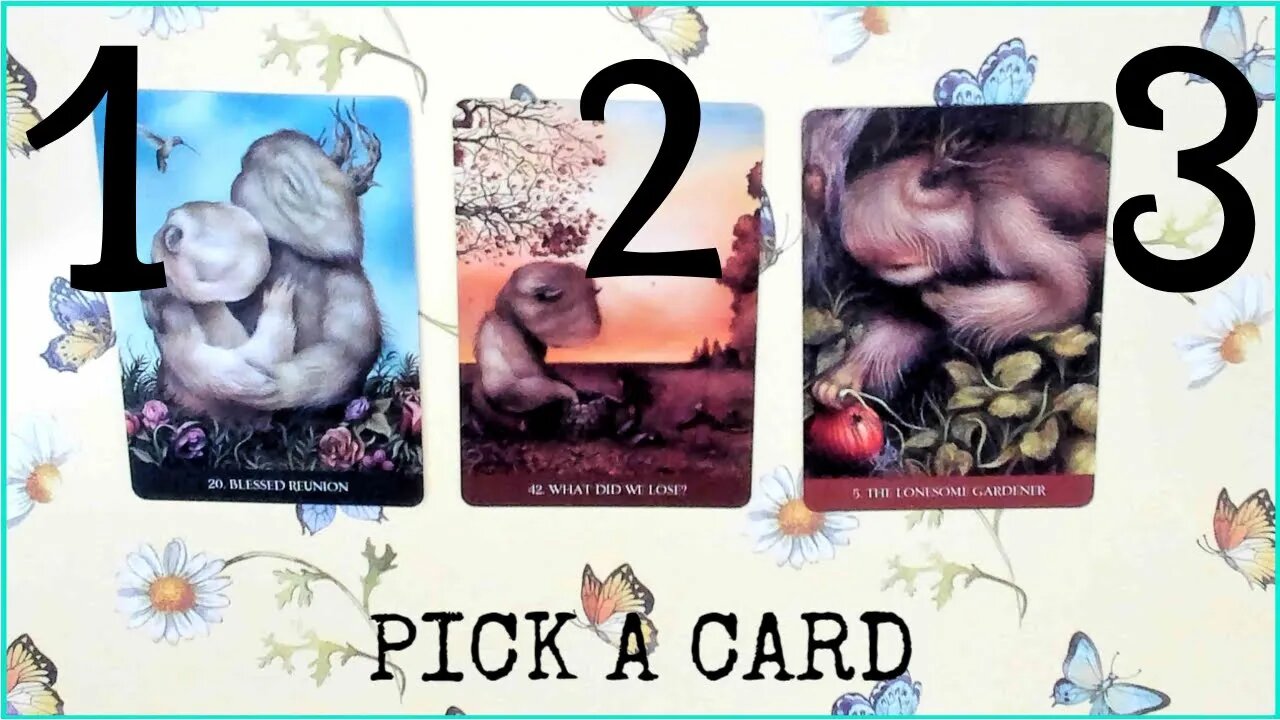 Pick a Card Tarot (Timeless) May 25, 2023