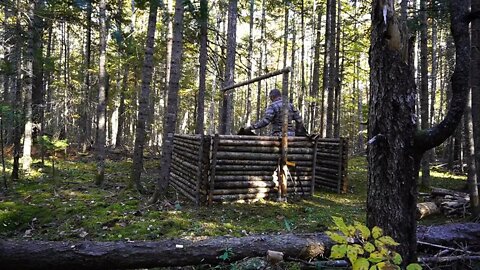 20+The jungle builds a survival cabin