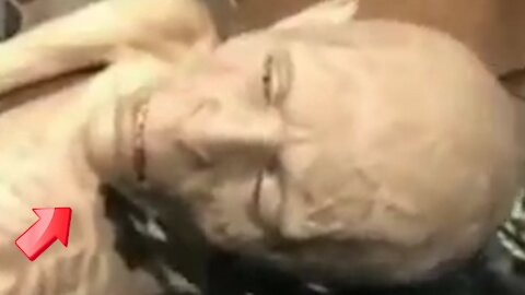 Lying down with a pained look on his face! real or fake [Space]