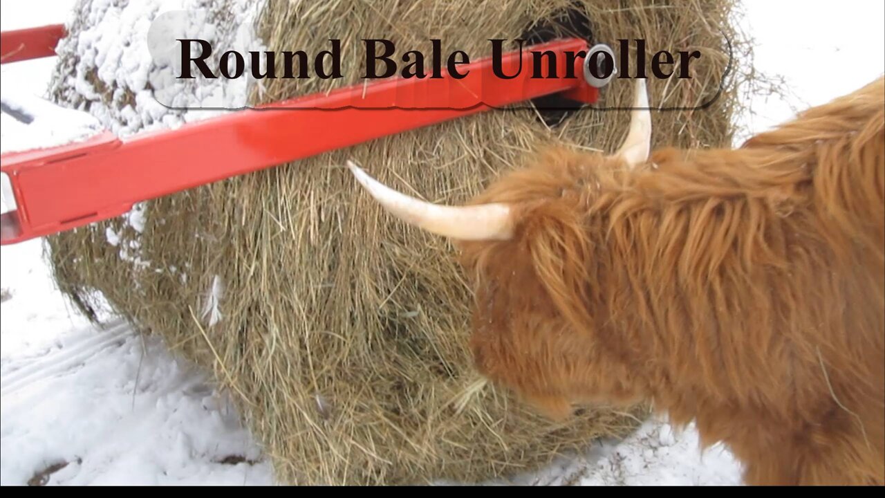 New Winter Bale Feeding System