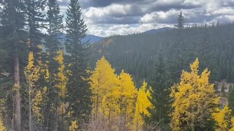 Autumn in Colorado