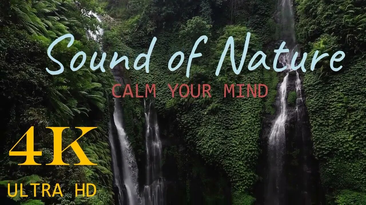 The Sound of Nature That Will Help You Relax: Study Shows It's More Effective Than meditation