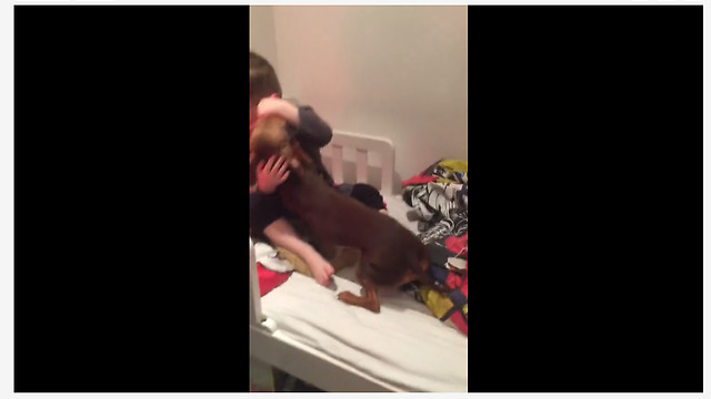 Dog Lavishes Little Boy With Smooches Every Single Morning