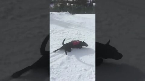 Ski Slopes