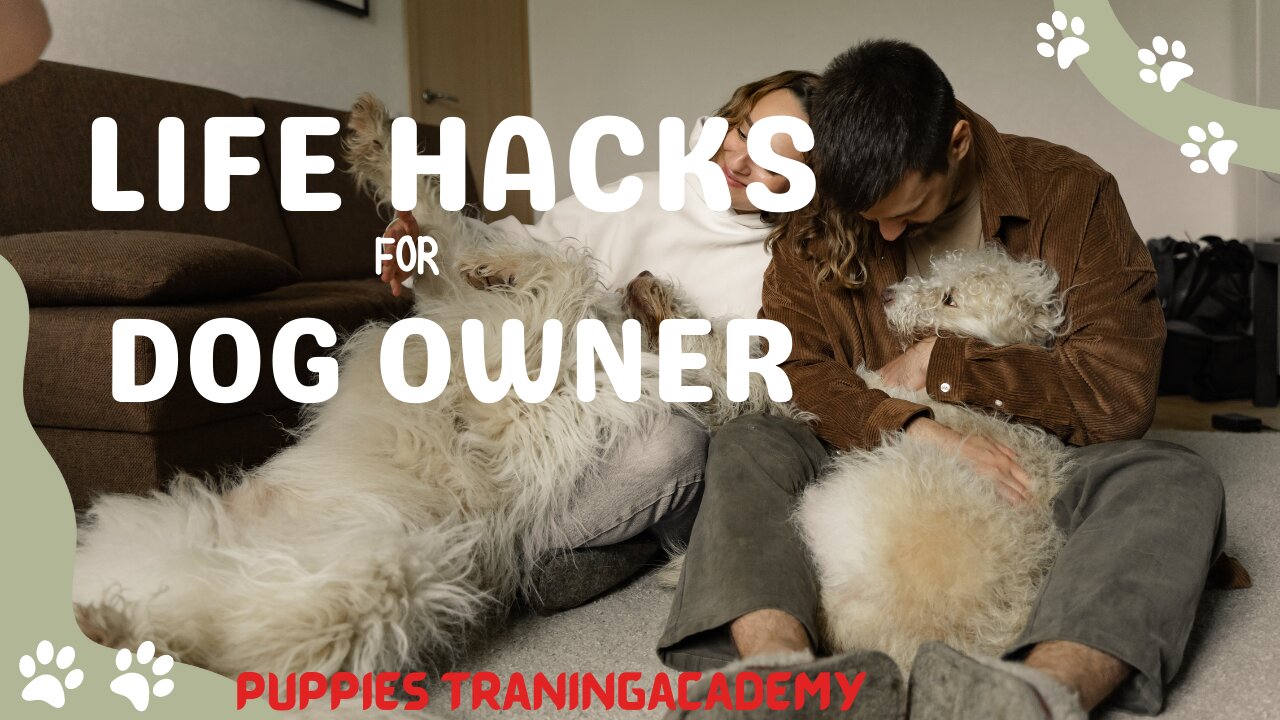 life hacks dog owner