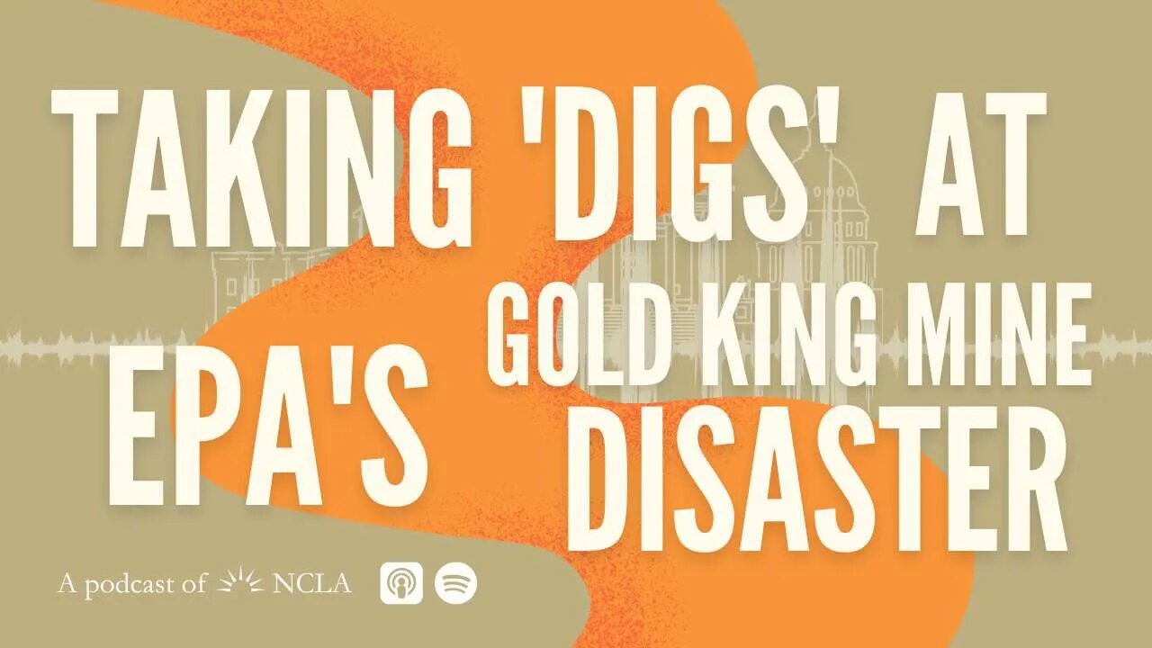 NCLA Opposes Govt’s MTD In Student Loan Suit; Parody Takes Digs at EPA’s Gold King Mine Disaster