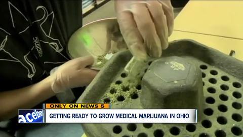 Medical marijuana cultivation plant will open this summer in Eastlake, and it's hiring