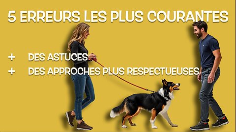 5 erreurs à éviter avec ton chien réactif