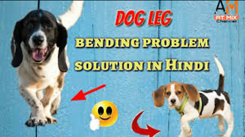 Please help your dogs🙏 | ....How to cure dog Leg bending issue