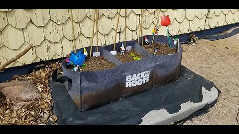 Update on Tilling Ground & Planting