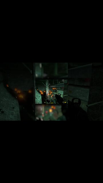 the intrucive thoughts told me to shoot the red berrals #halflife #hl2 #redberrals #clips #pcgaming