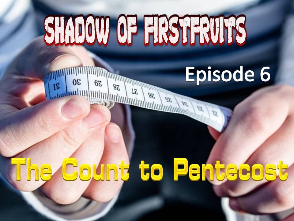 Shadow of FirstFruits episode 6