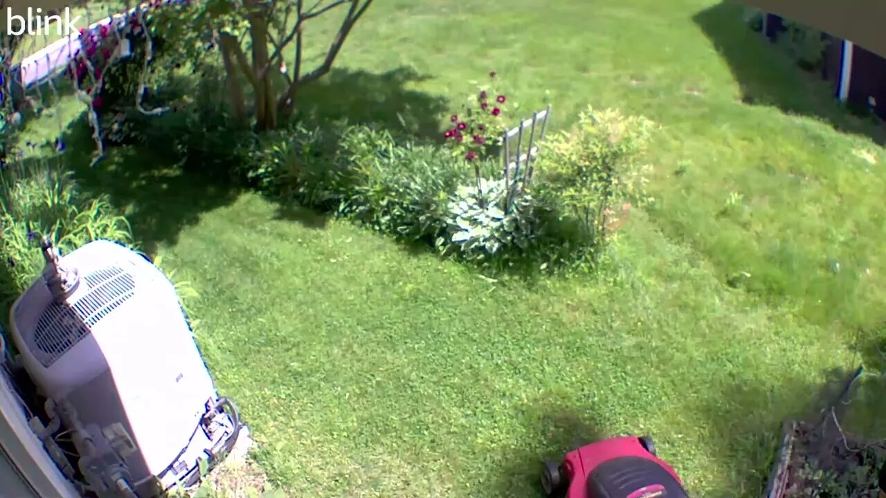 NORTH_VIDEO_DOOR_BELL_2023-05-16T11_44_17-0400.mp4