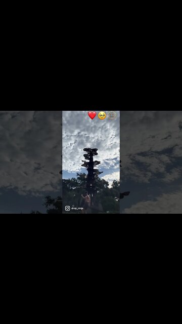 Practicing shuffle, dancing w/ another beautiful morning Orlando. #lakeeola #raver #dancing #edm