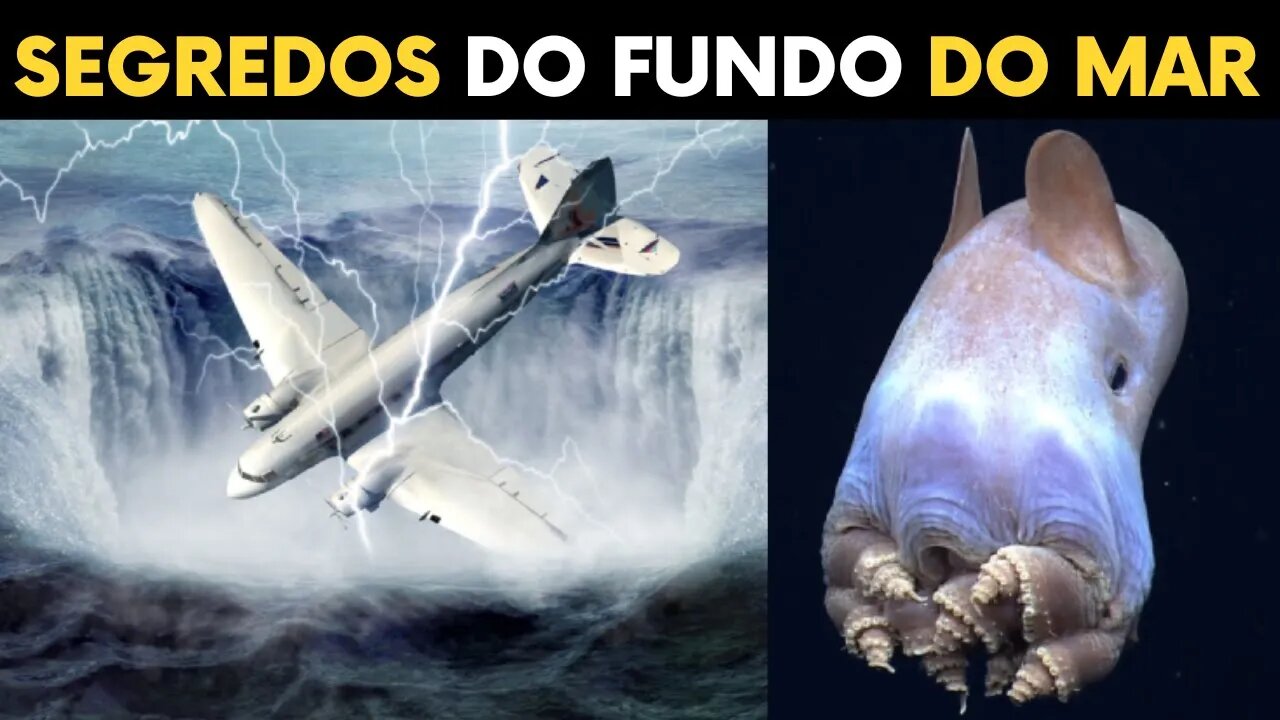 Os segredos do fundo do mar QUE VOCE NÃO SABIA PLANETA CURIOSO