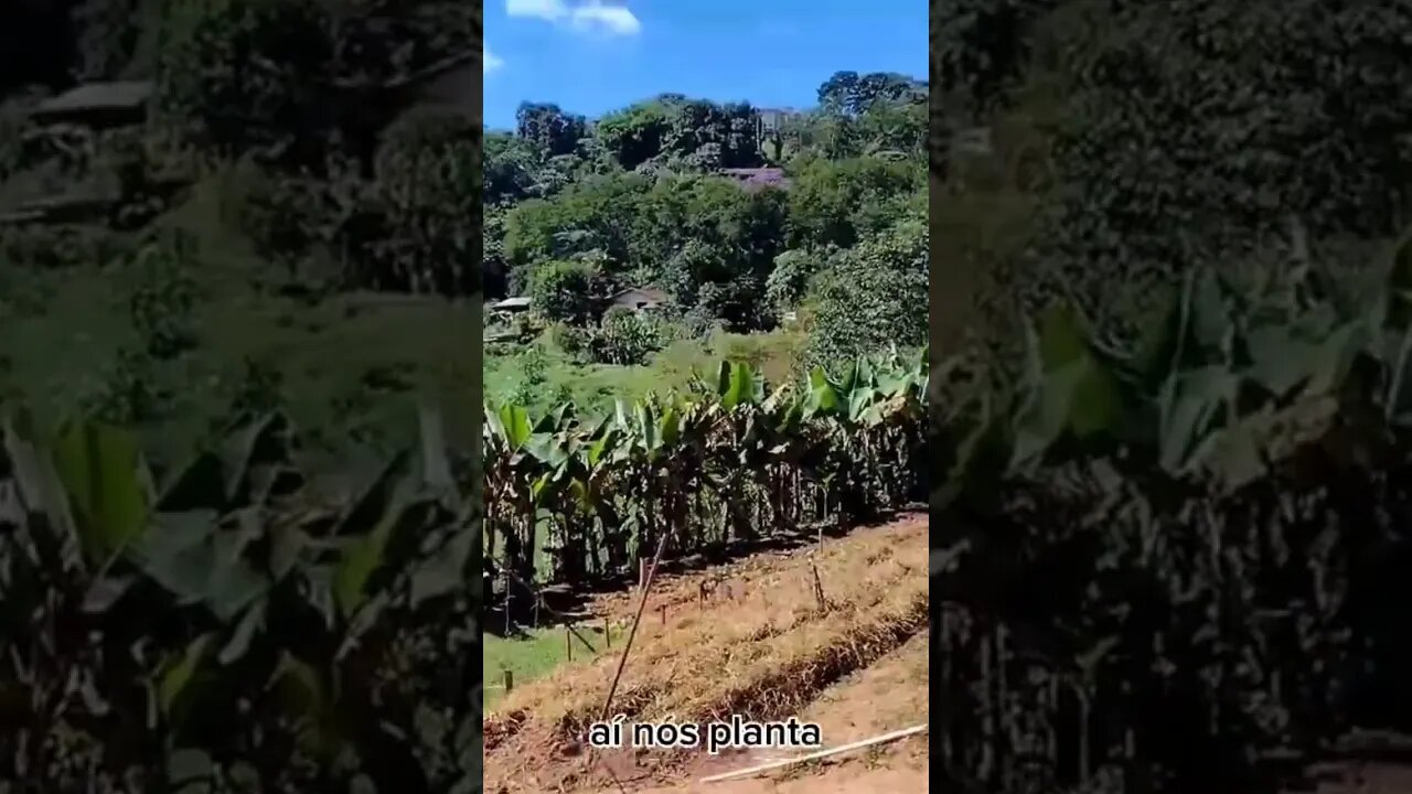 Olha a força de vontade dessa família.#shorts