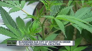 Detroit and Inkster marijuana businesses plan to sue state for denied licenses