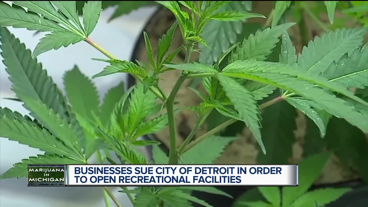 Detroit and Inkster marijuana businesses plan to sue state for denied licenses