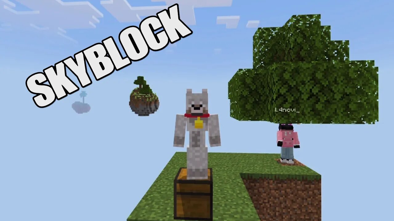 SKYBLOCK/WELL THIS WAS FUN