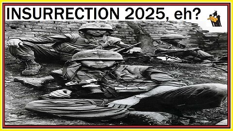 INSURRECTION 2025, eh?