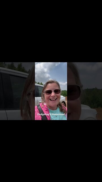 Guess what we got#hedgehogshomestead #gardening #framing