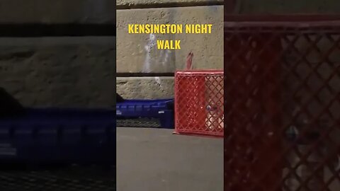 Kensington Daily Kensington Night Walk #shorts #kensington #nightwalk