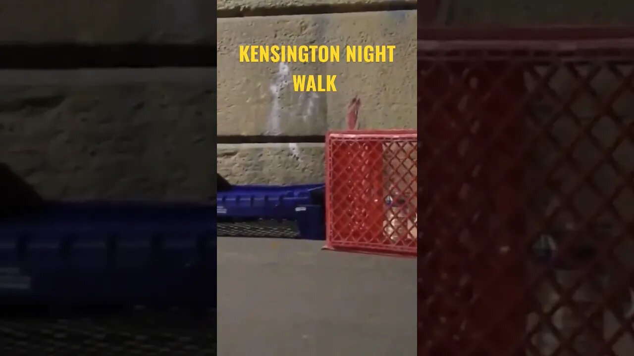 Kensington Daily Kensington Night Walk #shorts #kensington #nightwalk