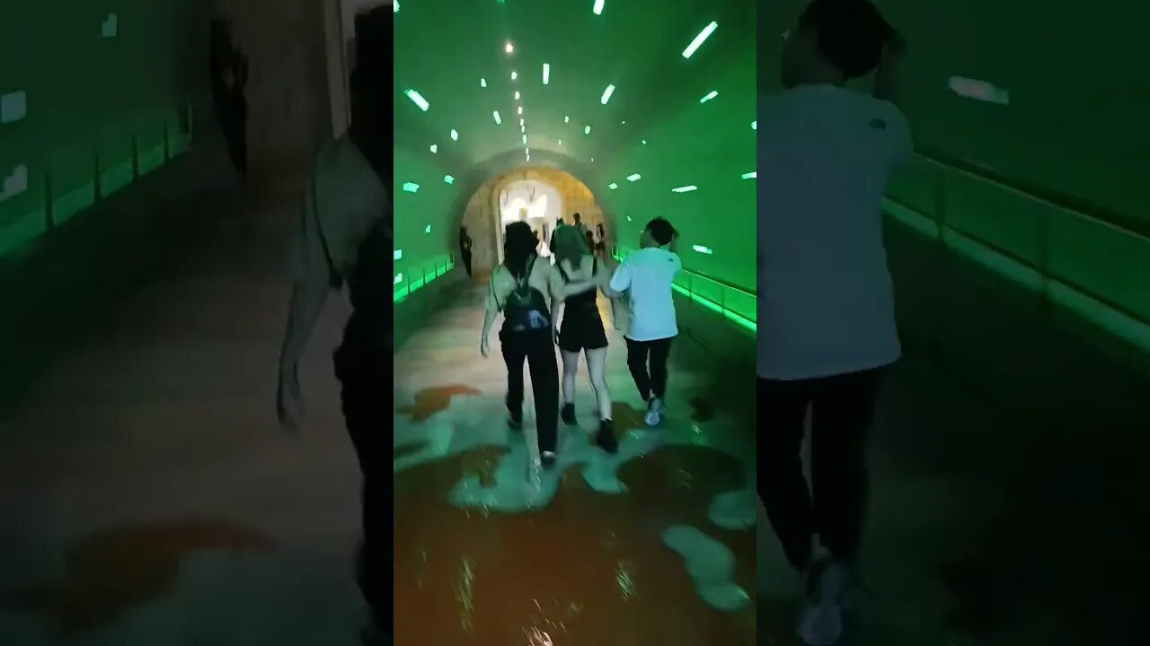 #etsukojunio #etsukofans #fransiscaofficial #teamfransisca #沉连清 #fransisca #fransiscametaworld