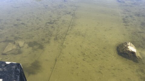 Let the feeding begin 😂😂😂😂