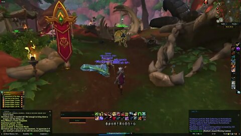 World of Warcraft Dragonflight A Thousand Words