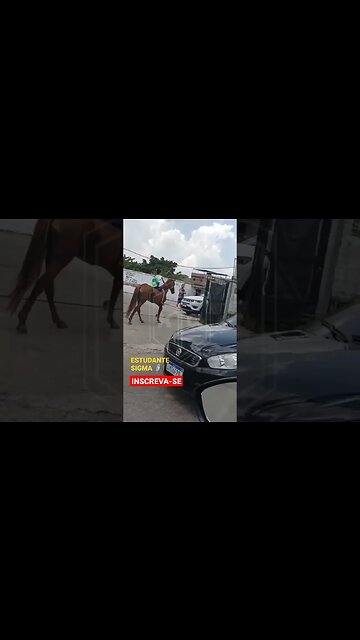 ESTUDANTE SIGMA #sigma #sigmarule #shortsfeed #shorts #edit