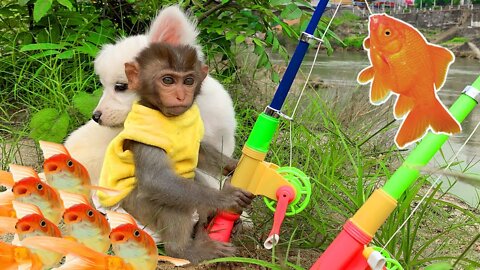 Monkey Baby Bo Bo and the puppy go fishing so funny