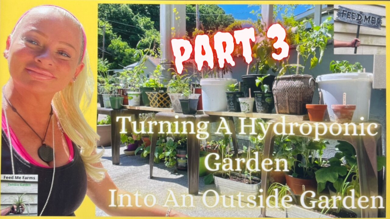 What's In The Garden? Part 3