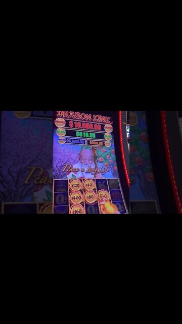 I PLAYED A $40 BET ON DRAGON LINK & HIT A JACKPOT!