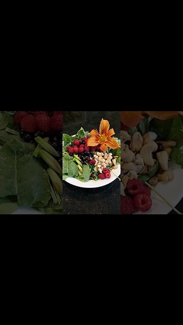 #shorts New video coming out today, getting lost in the food forest