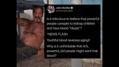 Was John McAfee Epstein'd?